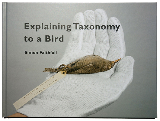 Detail of Natural History Museum Berlin – Simon Faithfull, Explaining Taxonomy to a Bird