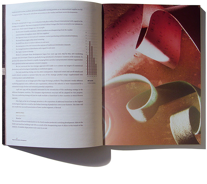 Detail of Flexovit –<br/>Annual Report