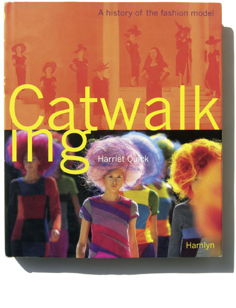 Detail aus Hamlyn –<br/>Catwalking